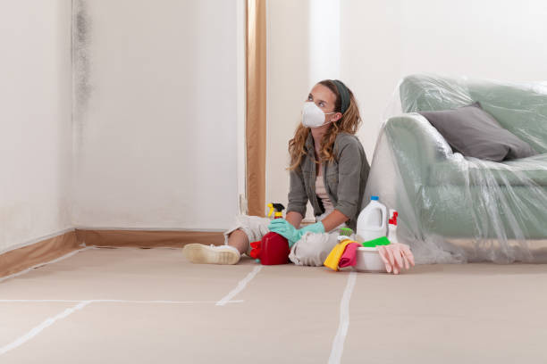 Reliable Mold Remediation contractor in Wellington, TX by WQB Mold Removal